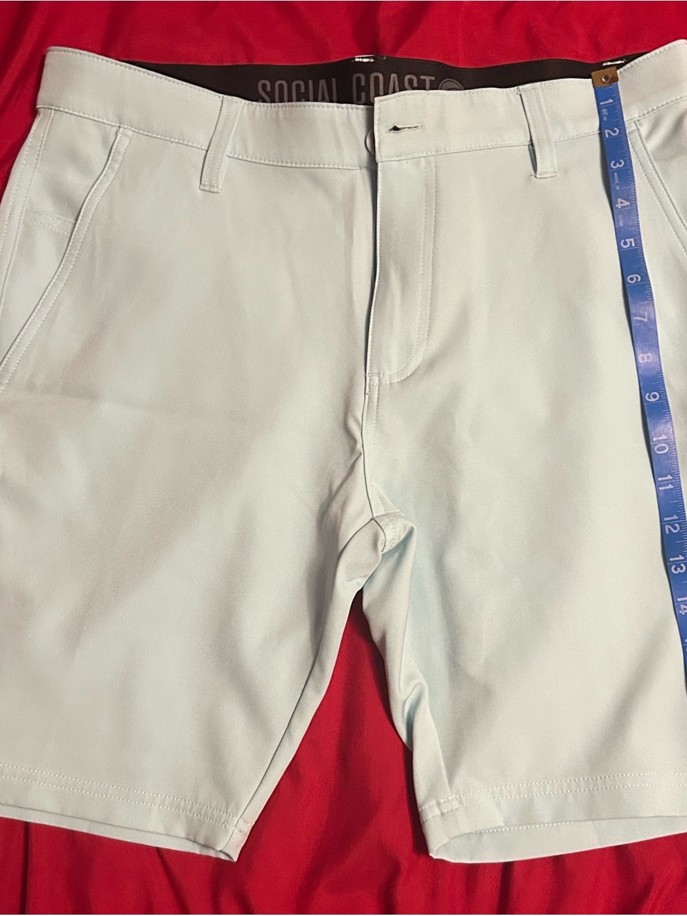NWOT Light Mint/Aqua Men’s Flat Front Shorts